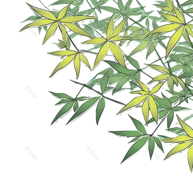 叶子图片,边框元素,纹理PNG,元素免抠素材
